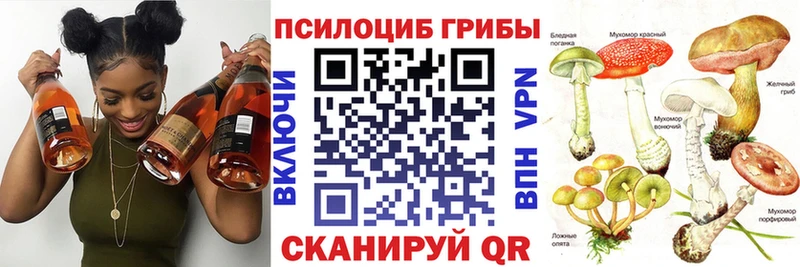 Купить закладки  Весьегонск  Галлюциногенные грибы Psilocybe 